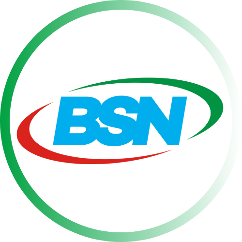 badan standarisasi nasional.png