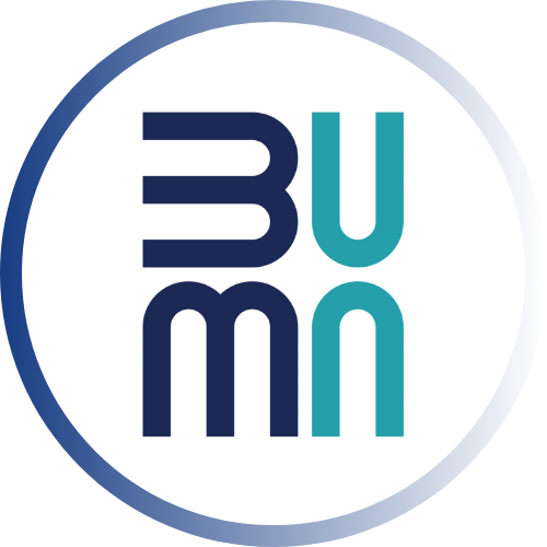 kementerian bumn.png