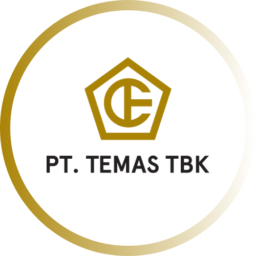 pt temas tbk.png