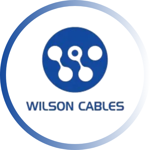 pt willson surya unggul.png